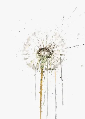 Dandelion Wall Art Print