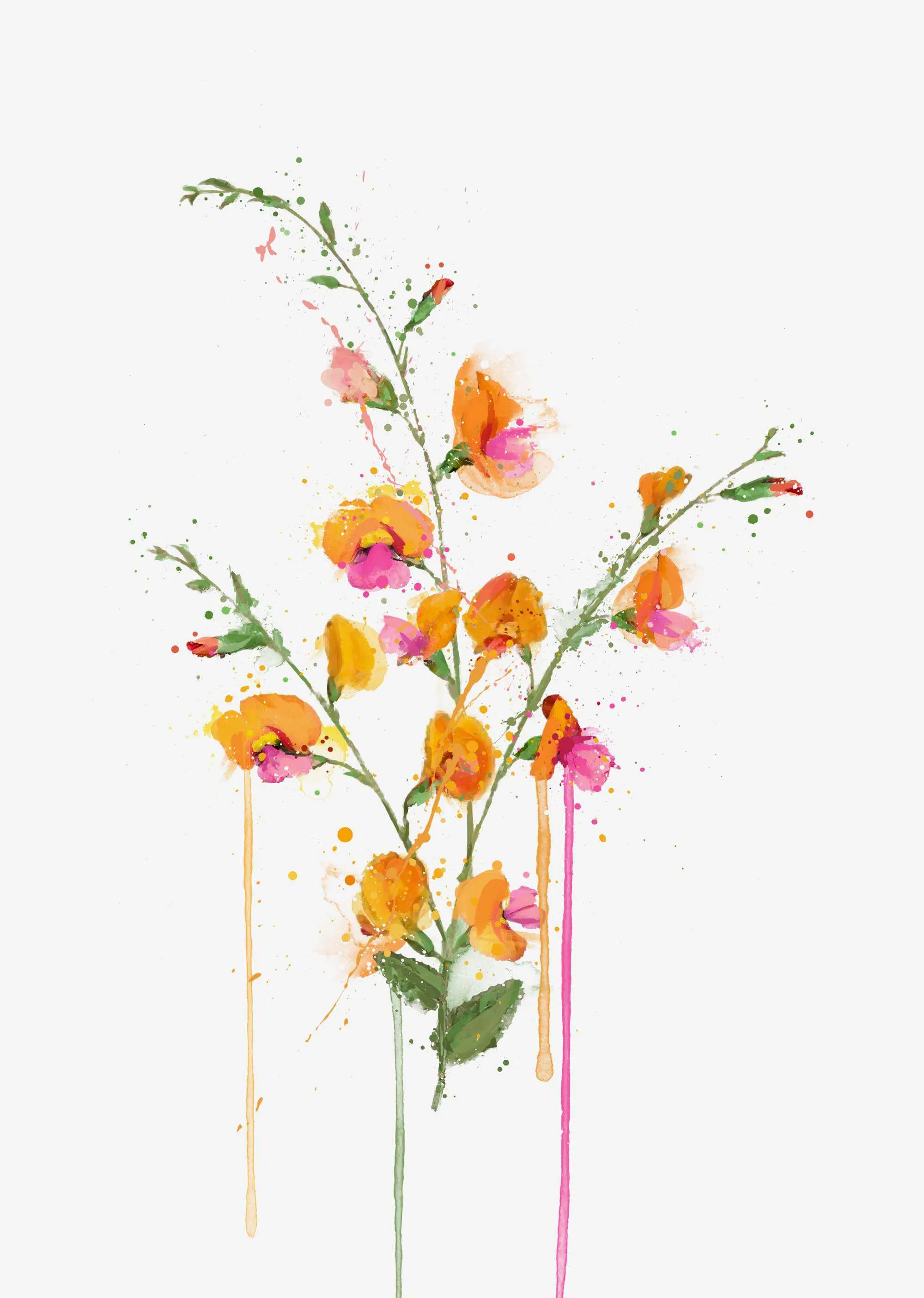 Flower Wall Art Print 'Flame Pea'