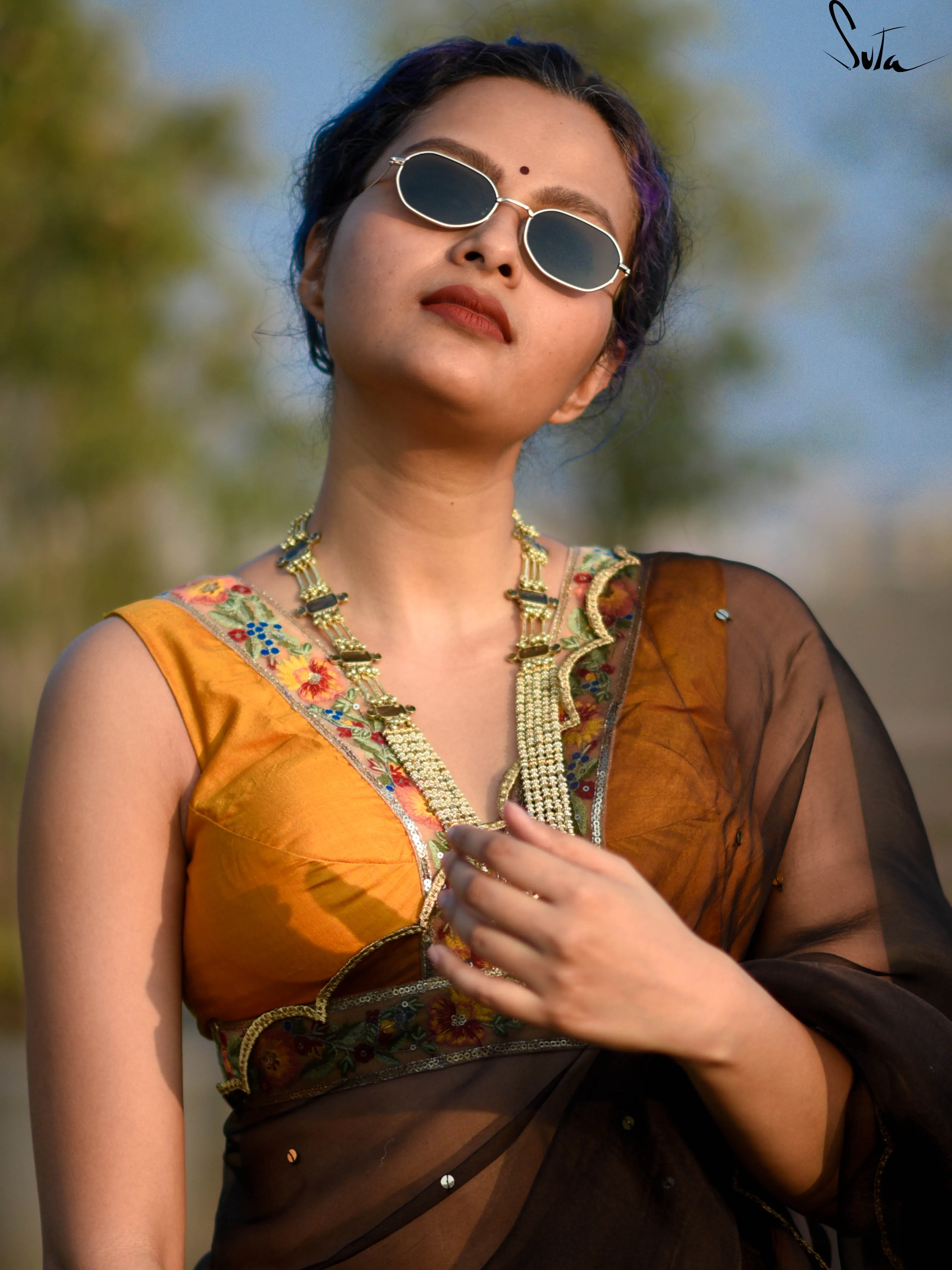 Sunehra Bagicha ( Blouse )