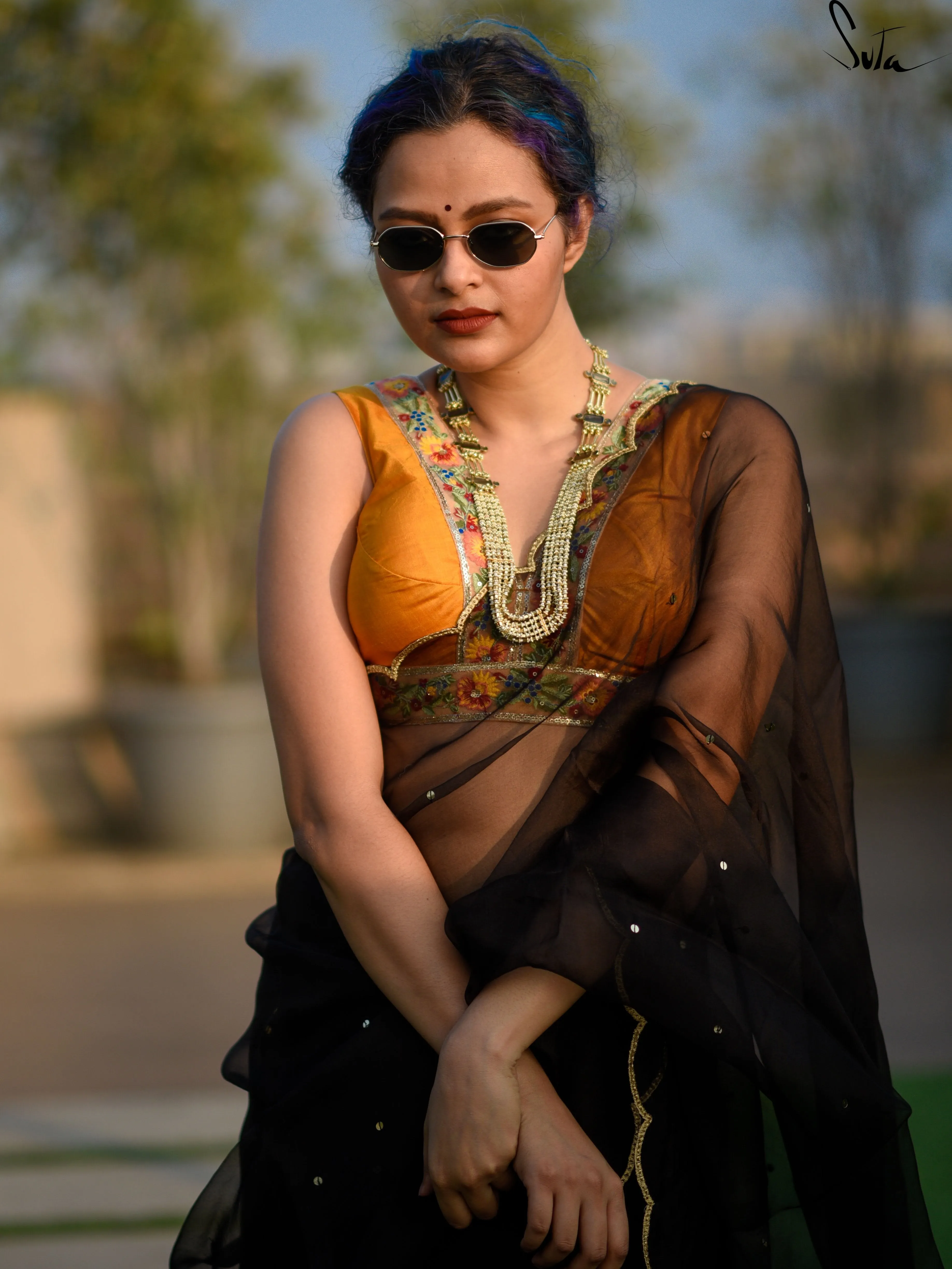 Sunehra Bagicha ( Blouse )