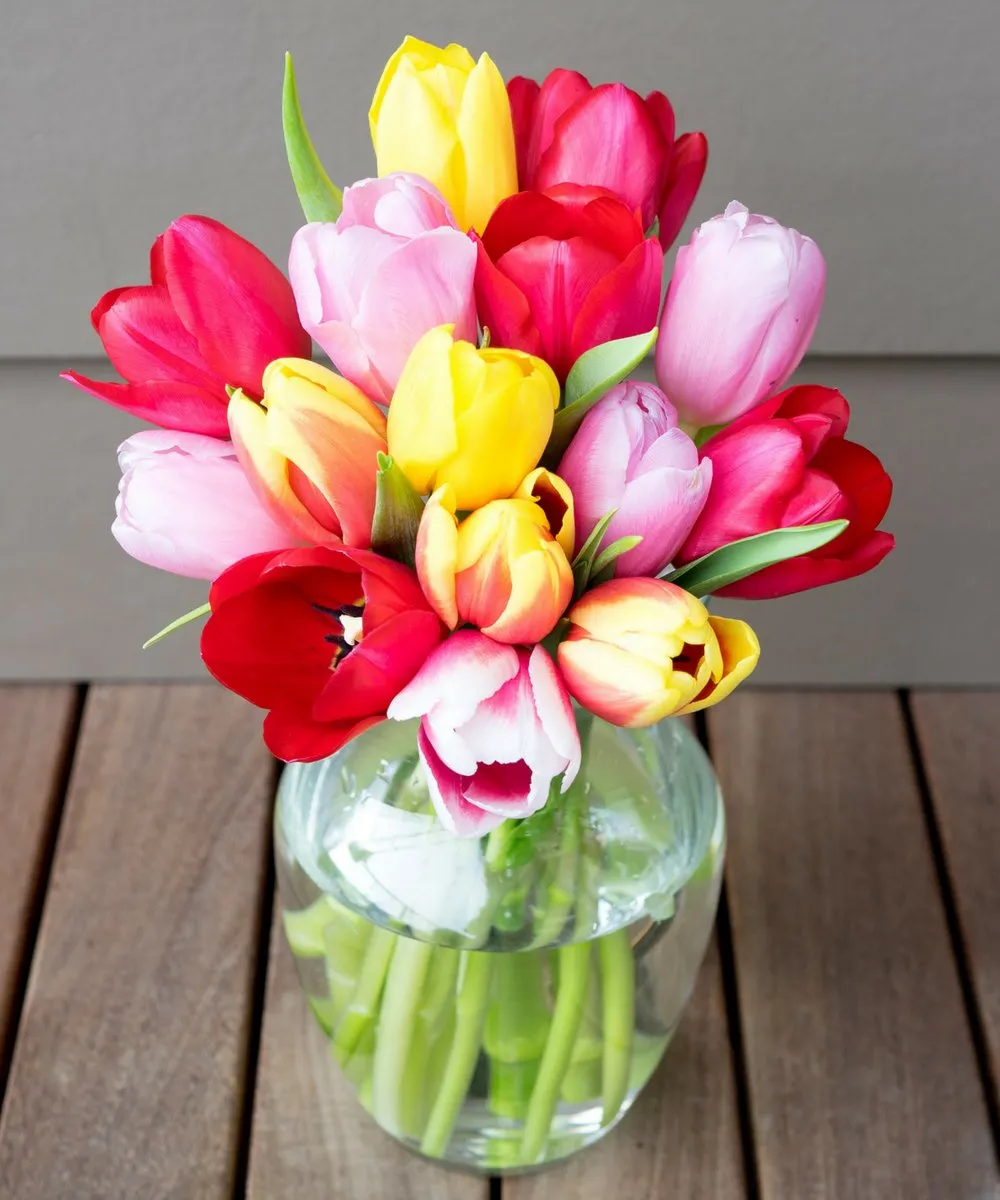 Sunny Tulips - 15 Stems